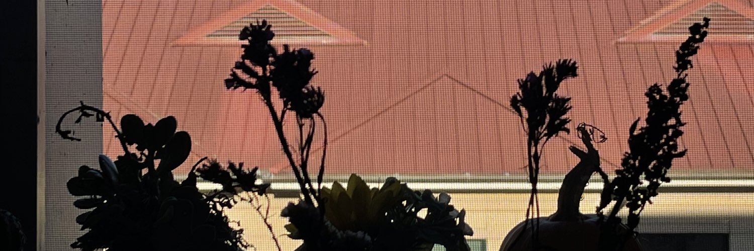 AnnaVerzosa's profile banner image