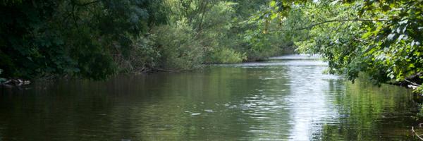 Robbiecousins Profile Banner