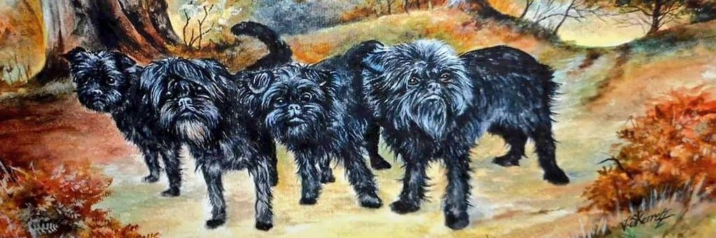 AFFKennel's profile banner image