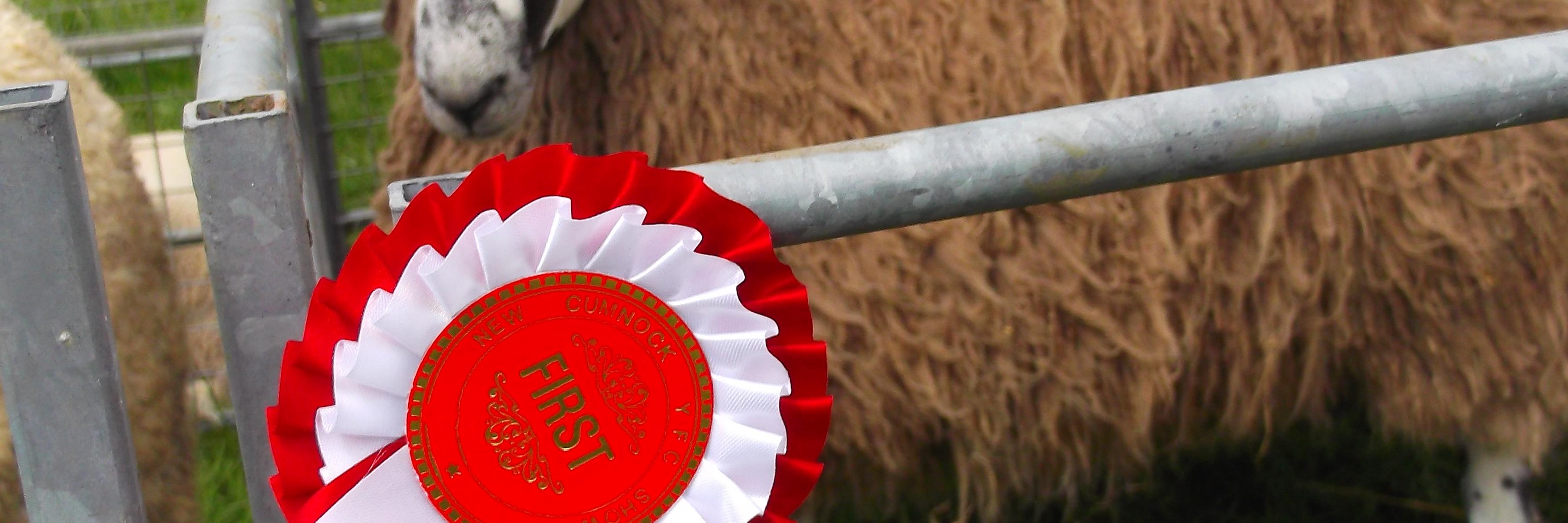 newcumnockshow's profile banner image