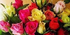 noorali19902's profile banner image