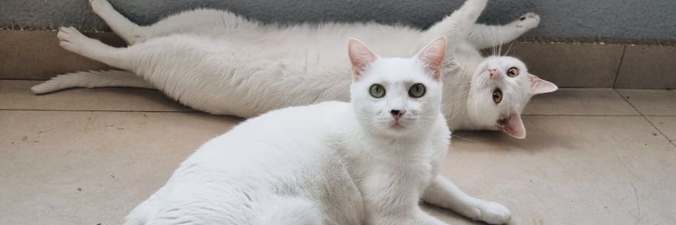 lbwgx's profile banner image