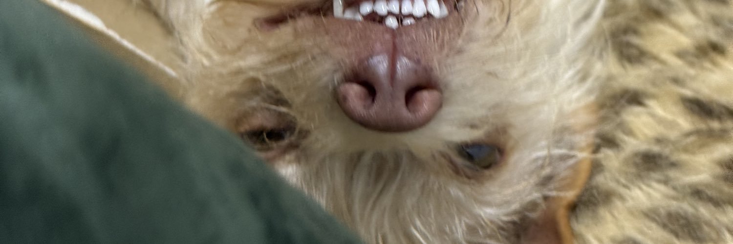 sharty banner
