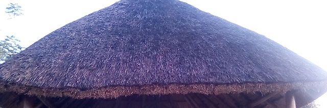 Julius Elepu, The Geographer banner