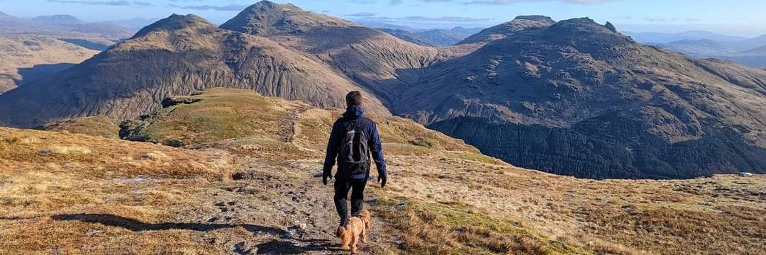 Chris McSorley banner