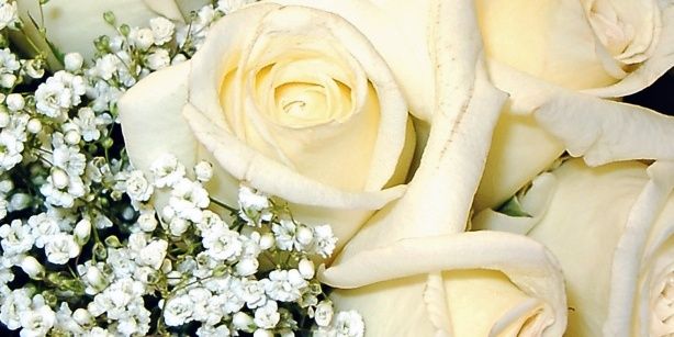 dian_toeng's profile banner image