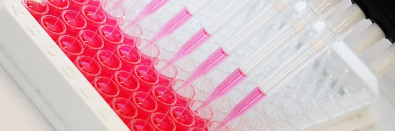 VisMederi Group banner