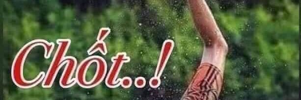 VN QUÊ HƯƠNG TÔI banner