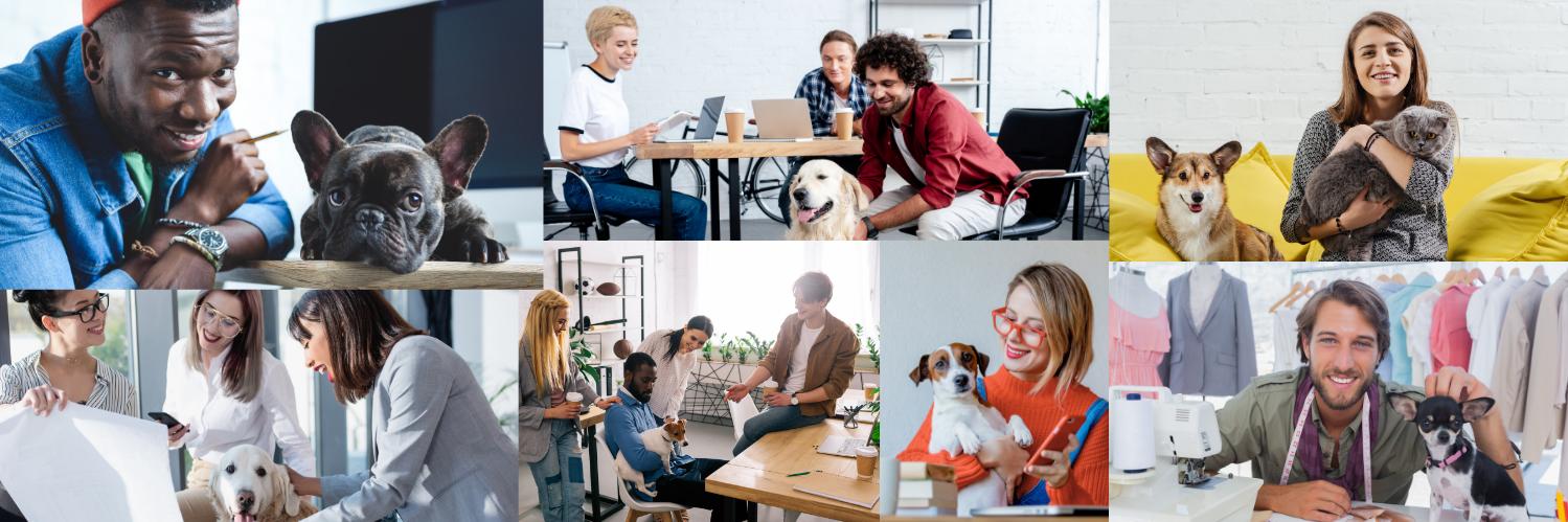 Take Your Dog To Work Day banner