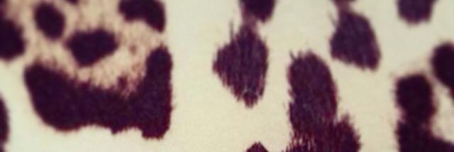 LoveYourMirror2's profile banner image