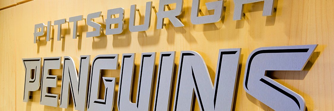benguin_'s profile banner image