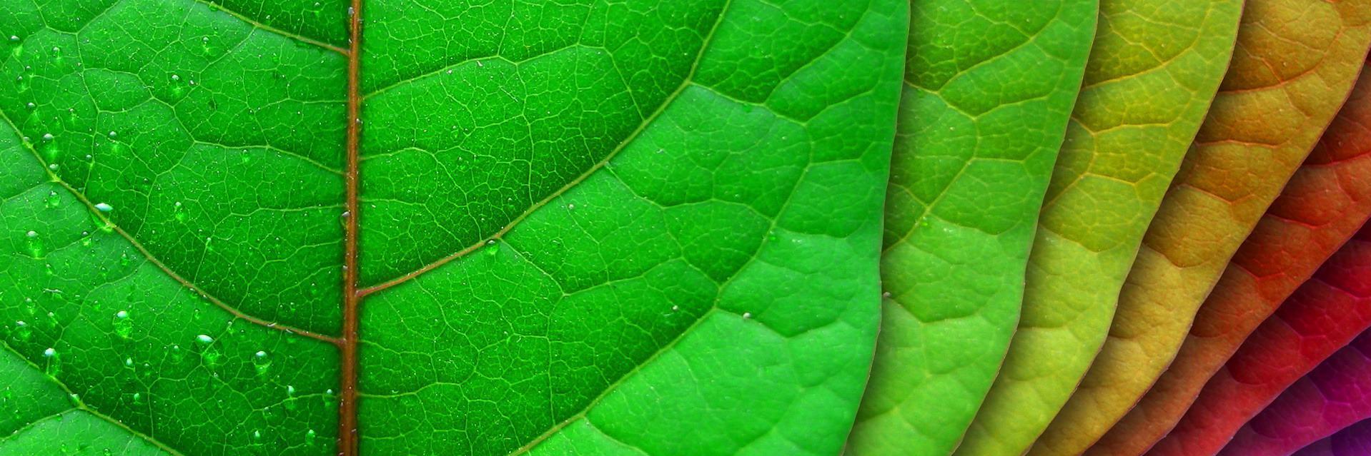 AragonDocumenta's profile banner image