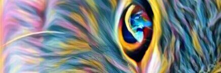 Marlen banner