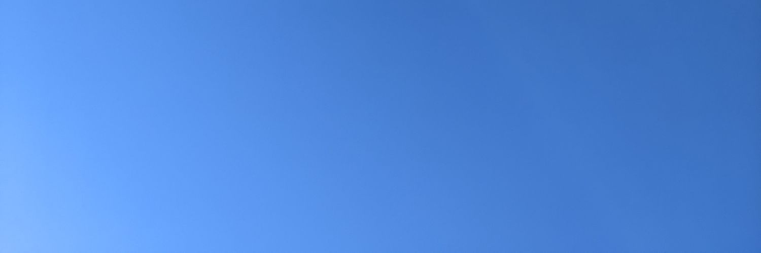 vi__neko's profile banner image