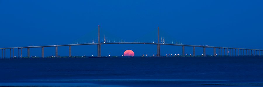 David A. Wright banner