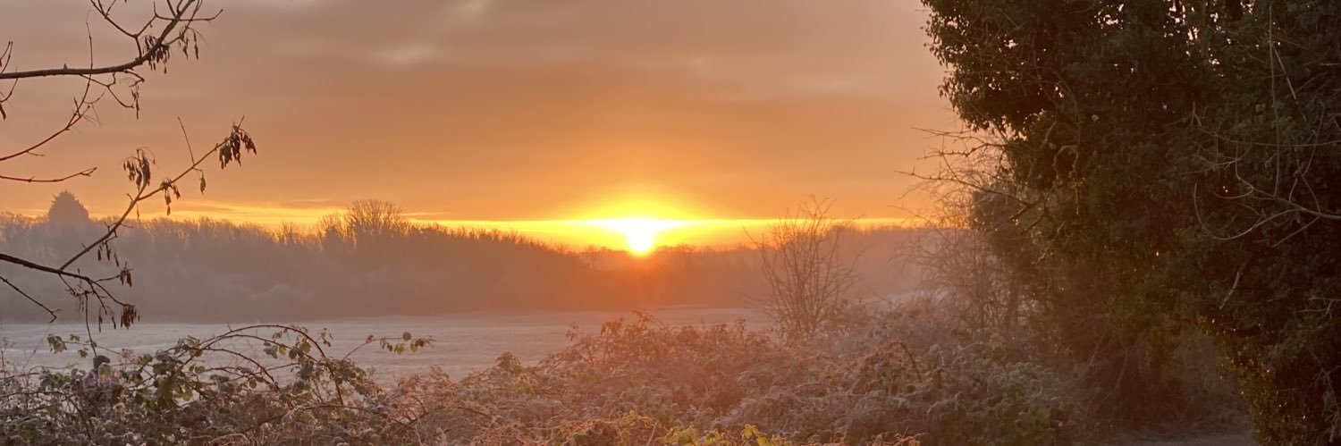Nick Sharratt banner