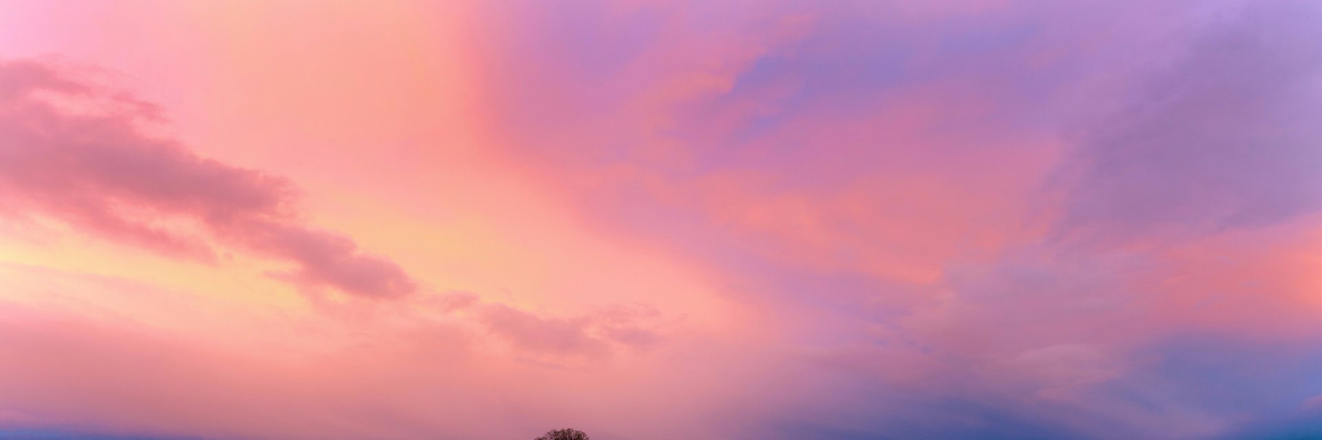 Figen banner