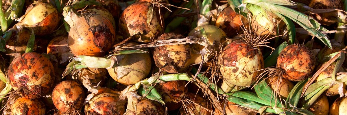 Parrish Farms banner