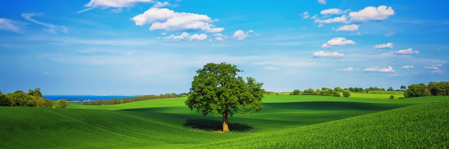 CSignatures's profile banner image