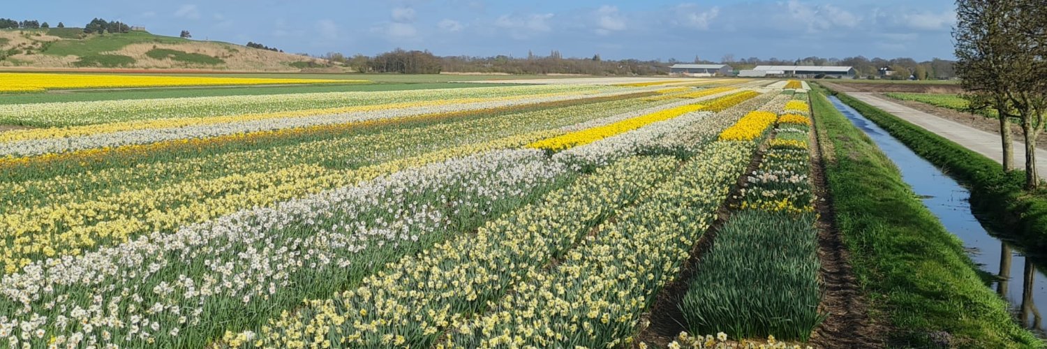 BollenstreekInBedrijf banner