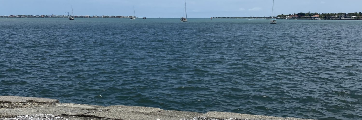 Amy Branz Cervantes banner