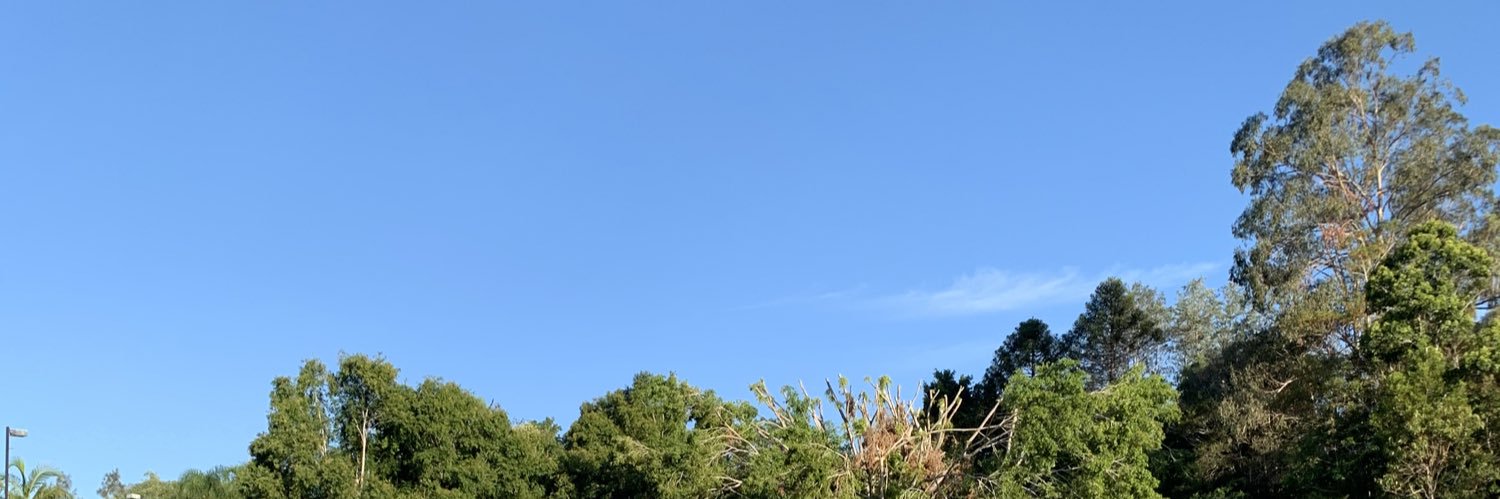zyppad's profile banner image