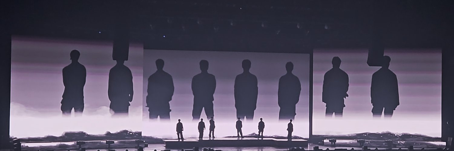 raflopies's profile banner image
