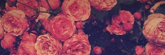 gitafitrii21's profile banner image