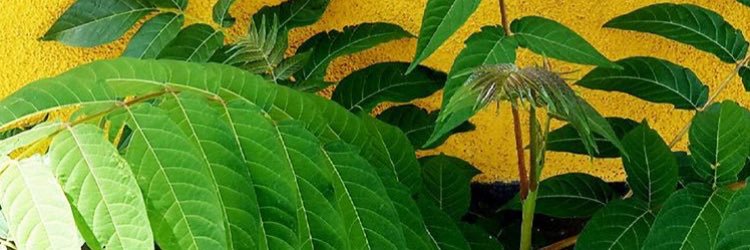 outofthecorner1's profile banner image
