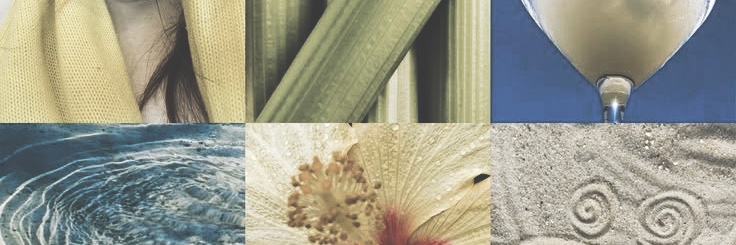 ❀ banner