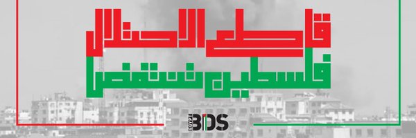 BDS Egypt Profile Banner