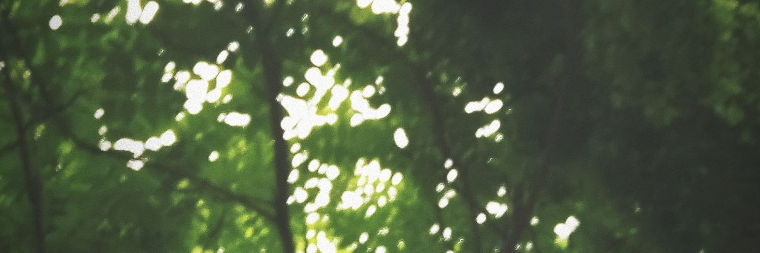 hastyansary's profile banner image