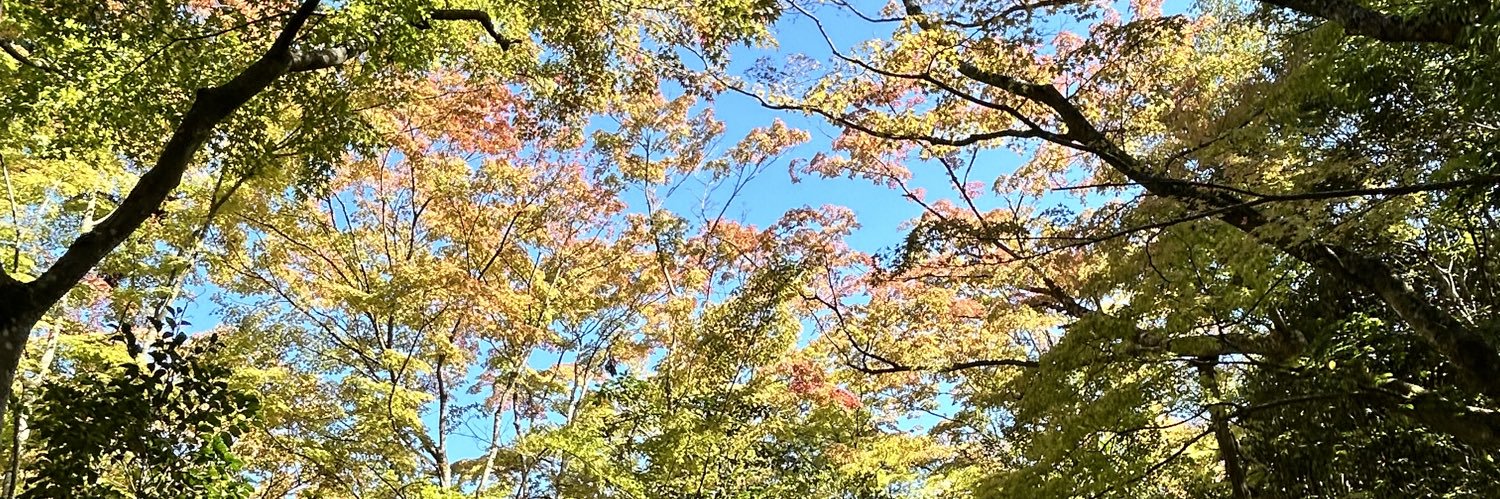 ai010606's profile banner image