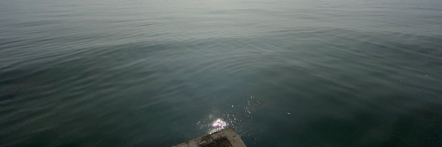 Andreas Strobl banner