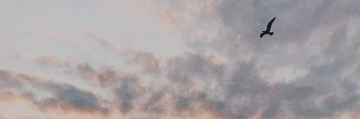 ismeneiram_'s profile banner image
