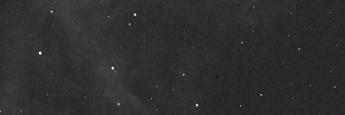 Victoria Rose banner
