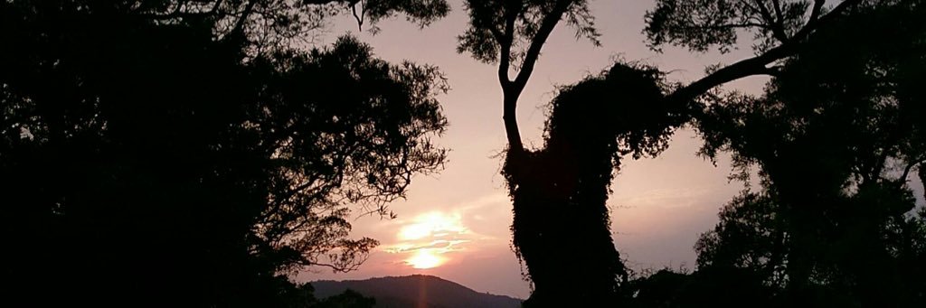焰煙 banner