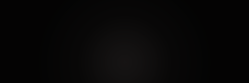 alivedecamila's profile banner image
