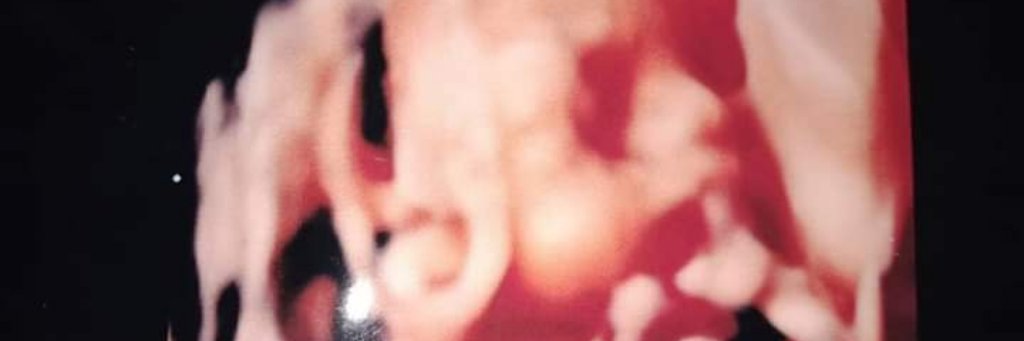 anggaraniwidya's profile banner image