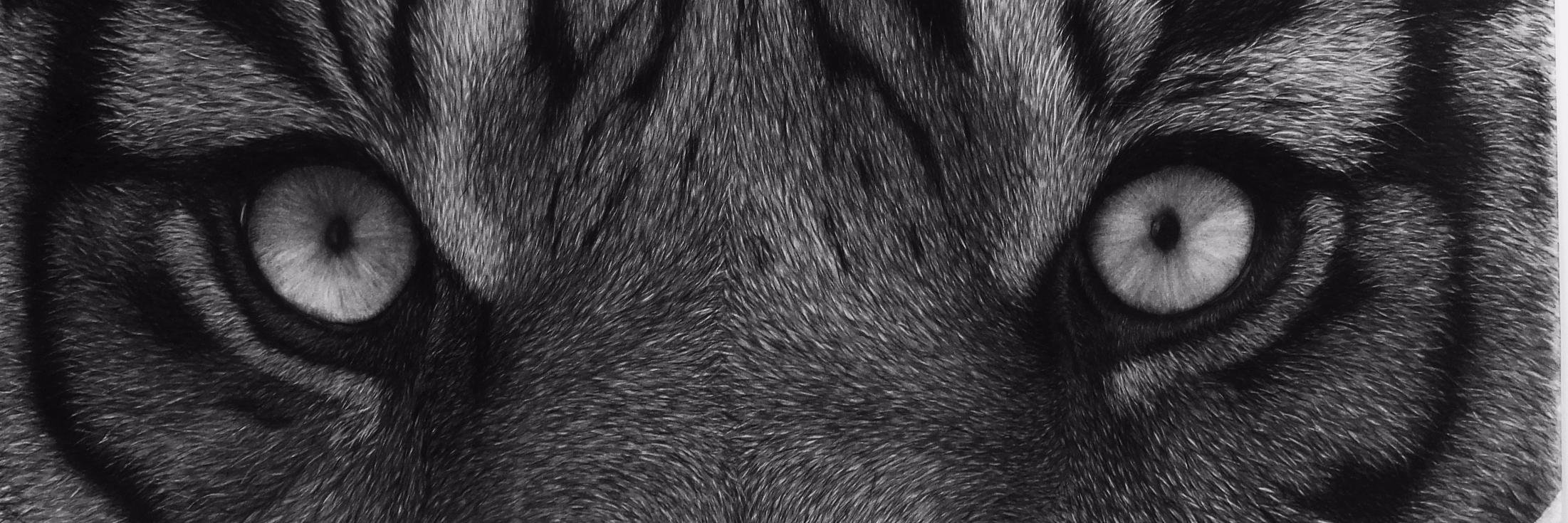 EdgarsArt's profile banner image