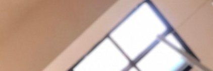 renealcaldesdn's profile banner image