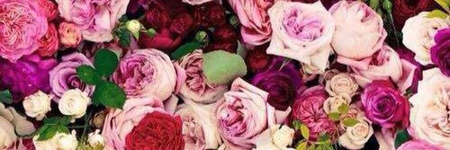 pret_p's profile banner image