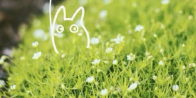 Arm_AonFC's profile banner image
