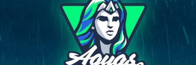 coachMJFischer's profile banner image