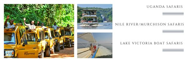 Wild Frontiers UG banner