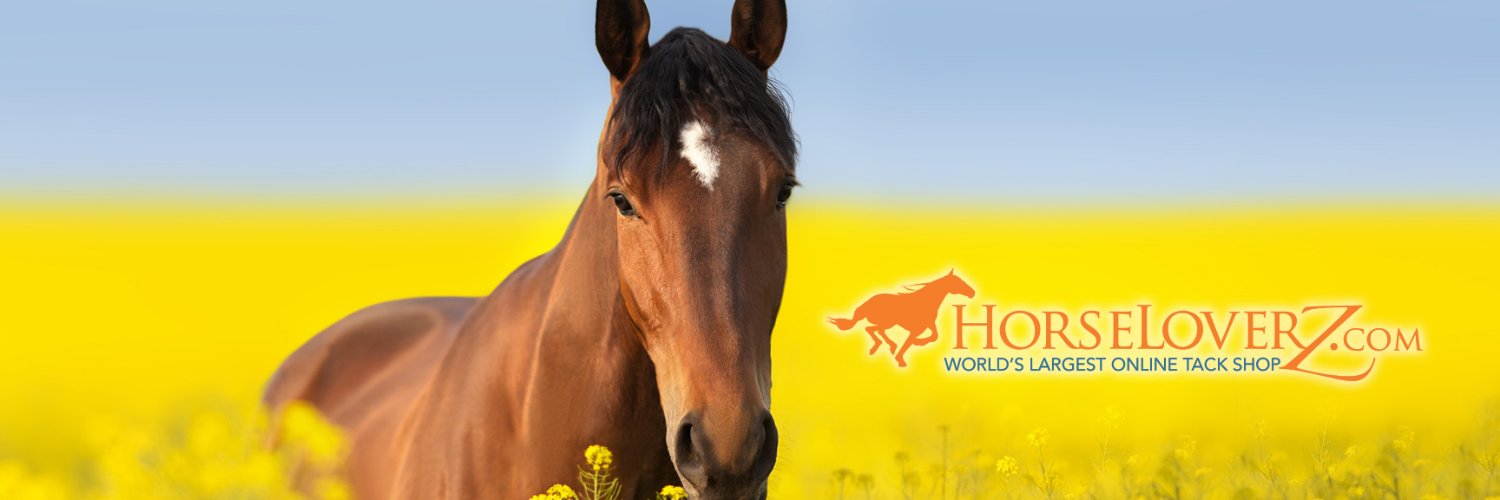 HorseLoverZ's profile banner image