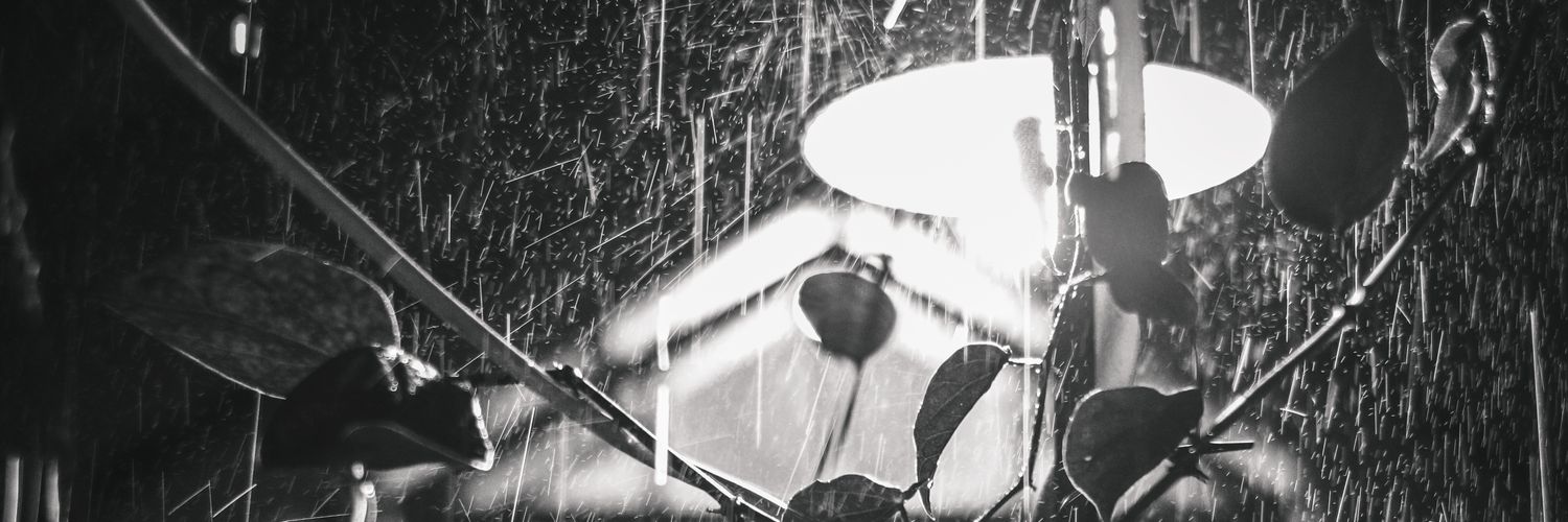 _fjrrr's profile banner image