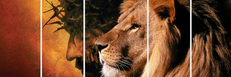 leao_lorena's profile banner image