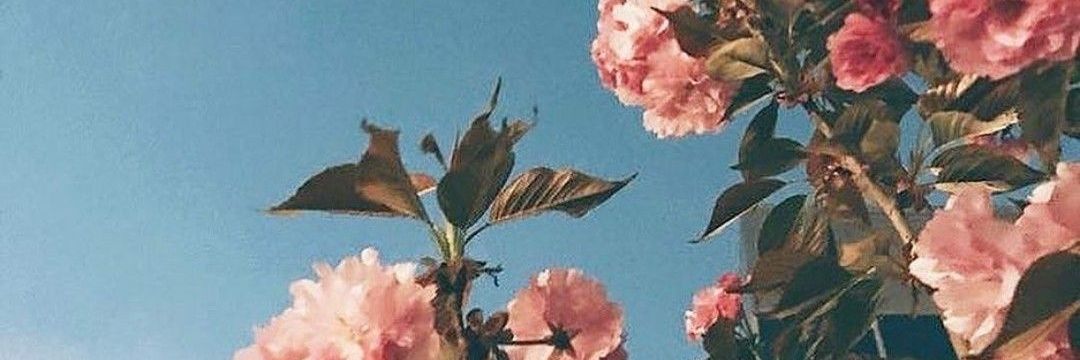 diaryofmichaela's profile banner image