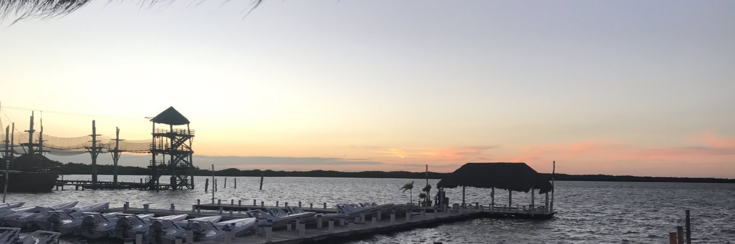 StephanieUmek's profile banner image